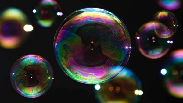 Image for event: Wild World of Bubbles