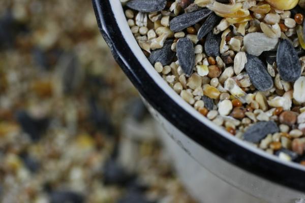 Image for event: Recycled Bird Feeder for Earth Day