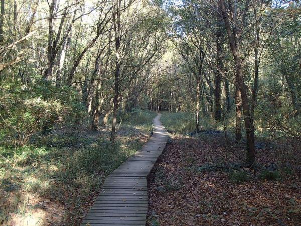 Image for event: Clyde Shepherd Nature Preserve Hike
