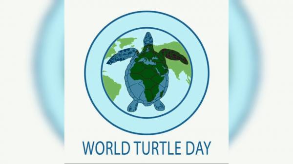 Image for event: World Turtle Day Celebration